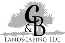 Avatar for C & B Landscaping, LLC