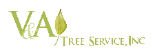 V & A Tree Service, Inc. logo