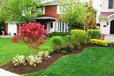 Avatar for D&D Landscape and Sprinkler Services, Inc.