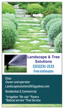 Logo for Landscape & Tree Solutions, LLC