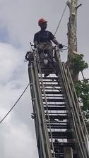 Avatar for Burks Tree Service