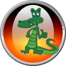 Sawgrass Windows and Doors, Inc. logo