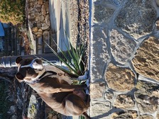 Avatar for Custom Landscape Construction, LLC