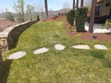 Tony's Lawn and Landscaping logo