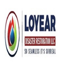 Loyear Disaster Restoration Services, LLC logo