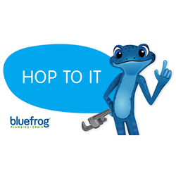 Blue Frog Plumbing & Drain of Northwest Houston logo