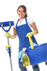 Clean Time Services, LLC logo