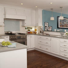 Transitional Kitchen with high end stainless steel gas range