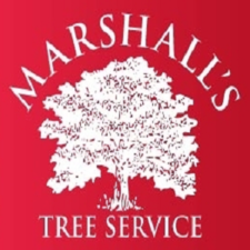 Avatar for Marshall's Tree Service - Home  Facebook