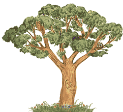 alexi tree service and construction dumfrese va 22026 homeadvisor