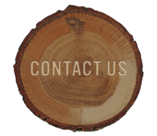 Avatar for Augustine Trees, Inc.