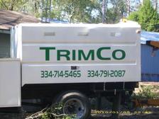Avatar for Trimco Tree Experts, LLC