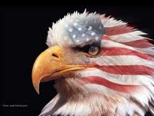 Avatar for Eagle Improvements