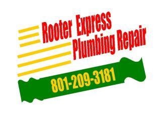 Rooter Express, LLC logo