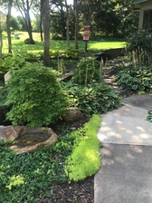 Logo for Don Willis Landscape Contractor