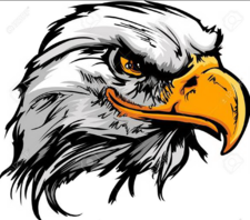 Eagle Painting Company logo