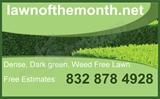 Lawn of the Month, LLC logo