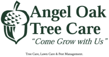 Avatar for Angel Oak Tree Care, Inc.