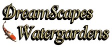 Avatar for Dreamscapes Watergardens, Inc.
