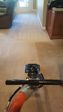 Avatar for Mid State Carpet Cleaning & Restoration Co.