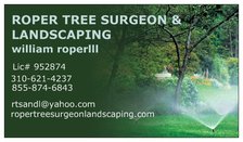 Roper Tree Surgeon and Landscaping logo