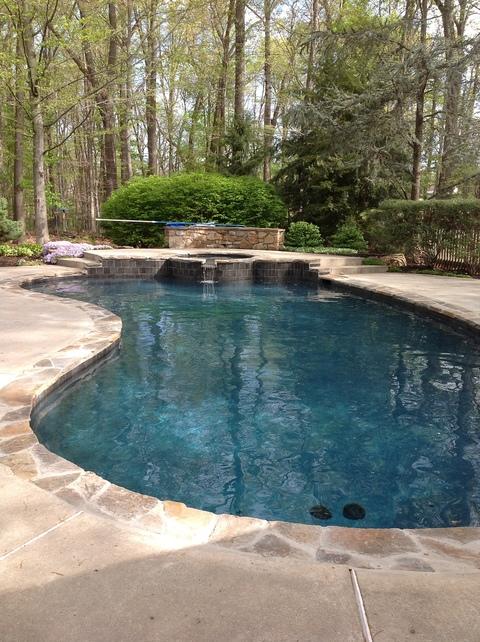 Transitional Pool with flagstone edging