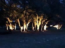 Avatar for Tino's Landscaping, Lighting & Construction