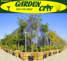 Logo for Richard's Garden Center, LLC