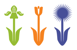 Little Miracles Designs logo