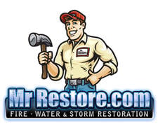 Avatar for Mr. Restore