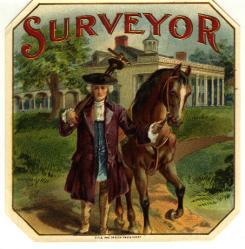 Wilson Surveying logo