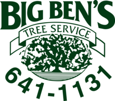Logo for Big Ben's Tree Service - Home Facebook