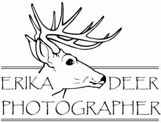 Erika Deer Photographer, LLC logo