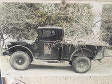 Cliffside Tree Service logo