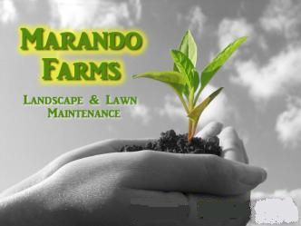 Marando Farms, LLC logo