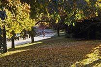 Avatar for Rogers and Son Lawn Care & Landscaping, LLC