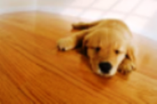 Avatar for CT Remodeling - Home Facebook