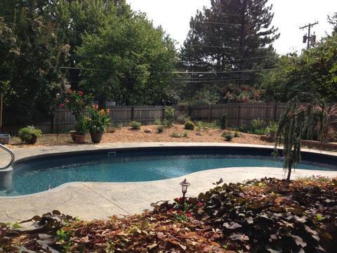 Traditional Pool with mulch and landscaping around pool