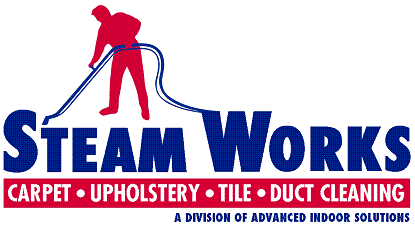 Steam Works Cleaning logo