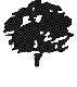 St. Croix Arborists logo