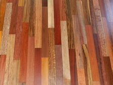 Avatar for Select Wood Floors