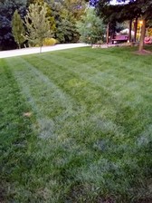 Avatar for ProLawn Landscape Maintenance, LLC