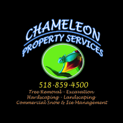 Chameleon Property Services, LLC logo