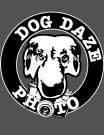 Dog Daze Photo logo