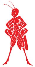 Avatar for Mark's Lawn & Pest Services