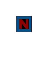 Next Level Construction logo