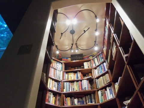 Contemporary Library with swirled track lighting