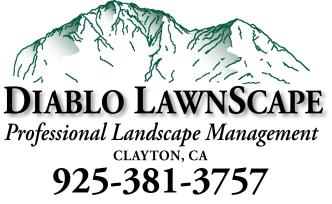 Diablo Lawnscape logo