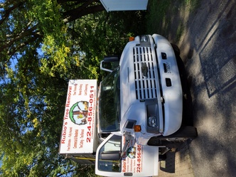Rubios Tree Removal Services logo