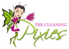 The Cleaning Pixies logo
